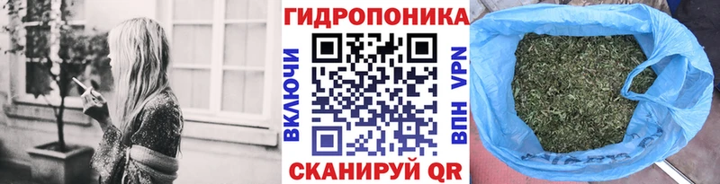 Бошки марихуана индика  мега вход  Чухлома 